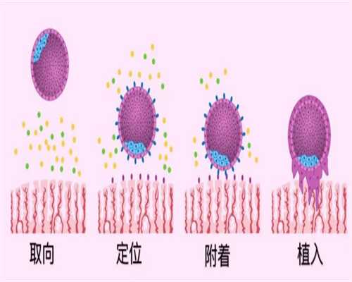 辅助生殖技术精要：试管助孕、代生流程与费用一览